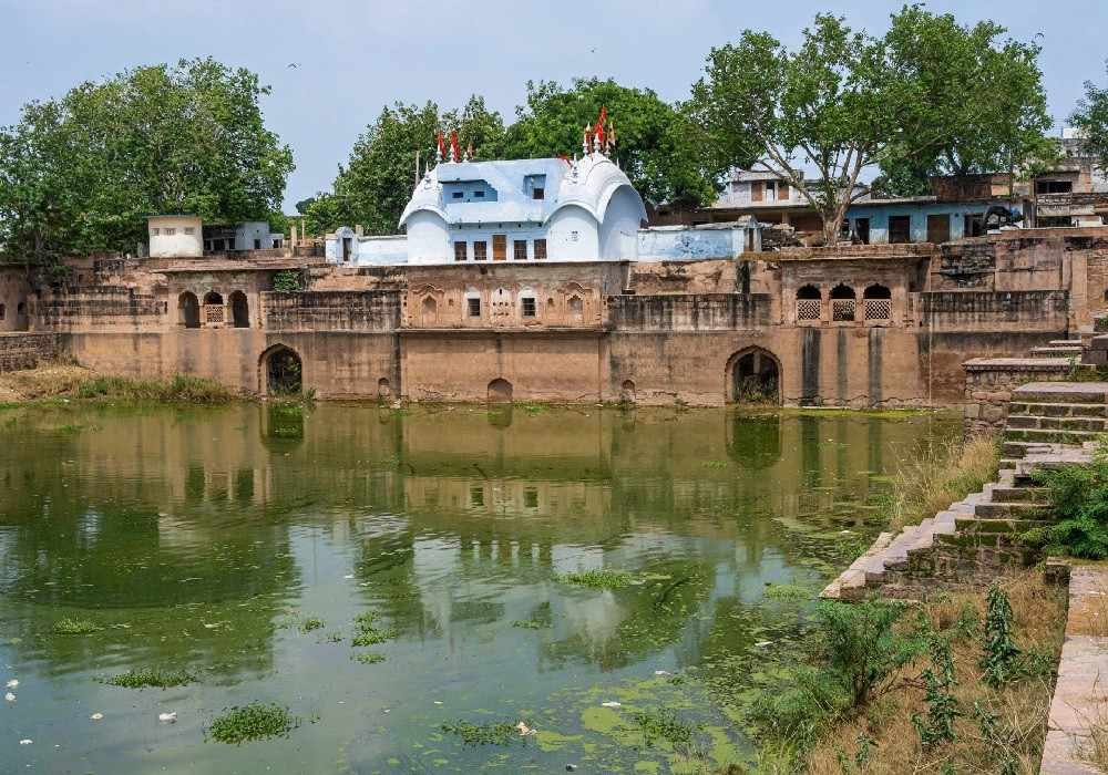 Rewari Group Tour