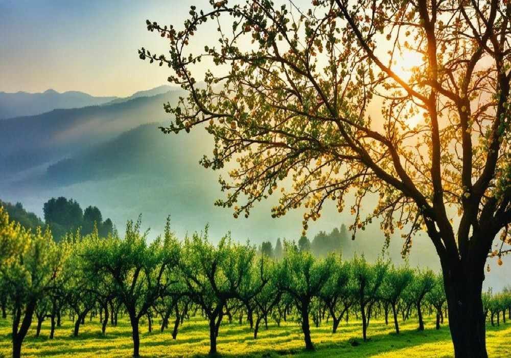 Ranikhet Weekend Getaways from Delhi