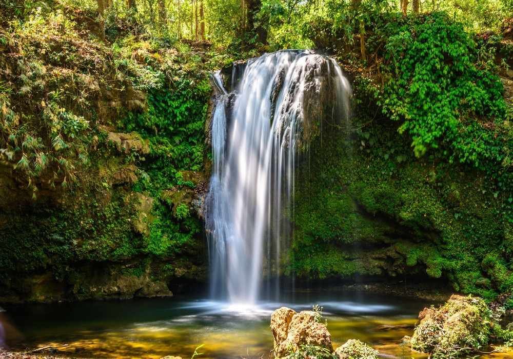 Jim Corbett National Park Weekend Getaways from Delhi