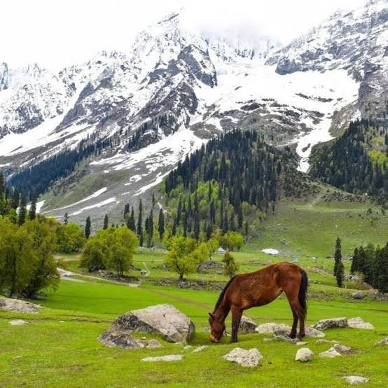Kota Bharu to Delhi Agra Jaipur Mumbai Pahalgam Kodaikanal Tour Package