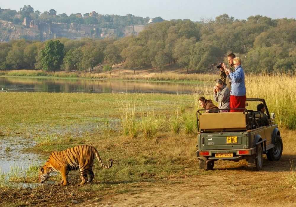 Ranthambore Weekend Getaways from Delhi