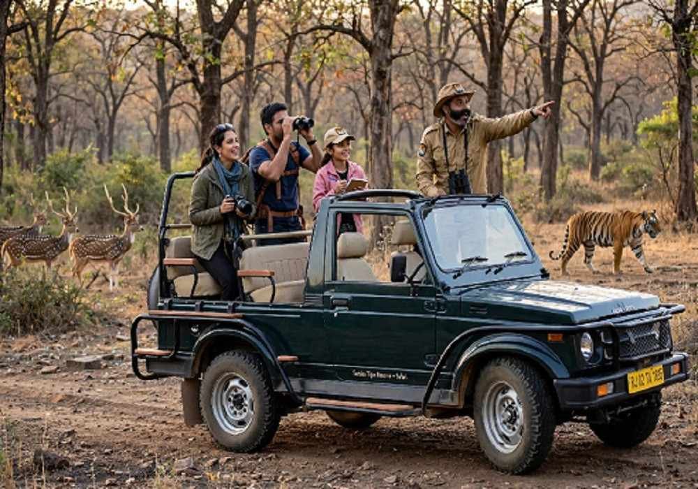 Sariska Group Tour