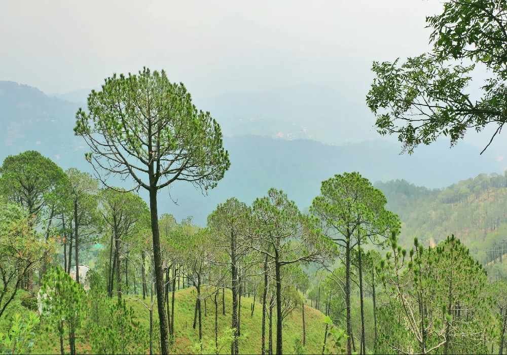 Kasauli Weekend Getaways from Delhi