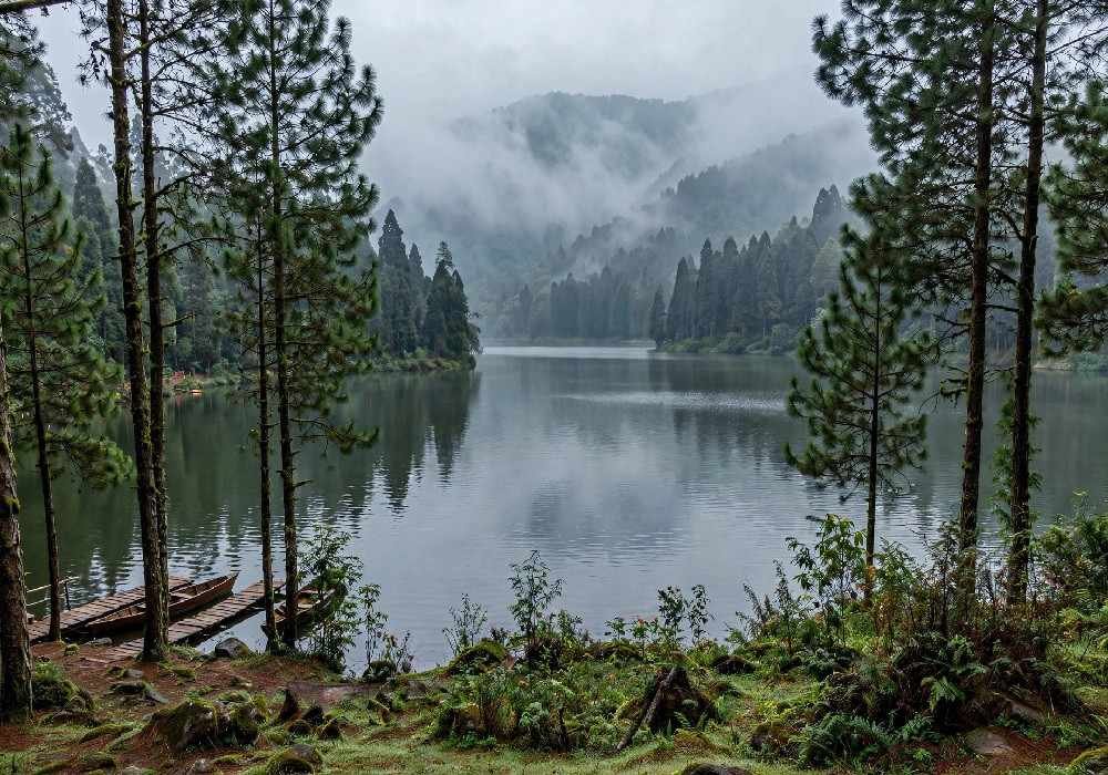 Orleans to Pondicherry Ooty Kodaikanal Madurai Tour Package