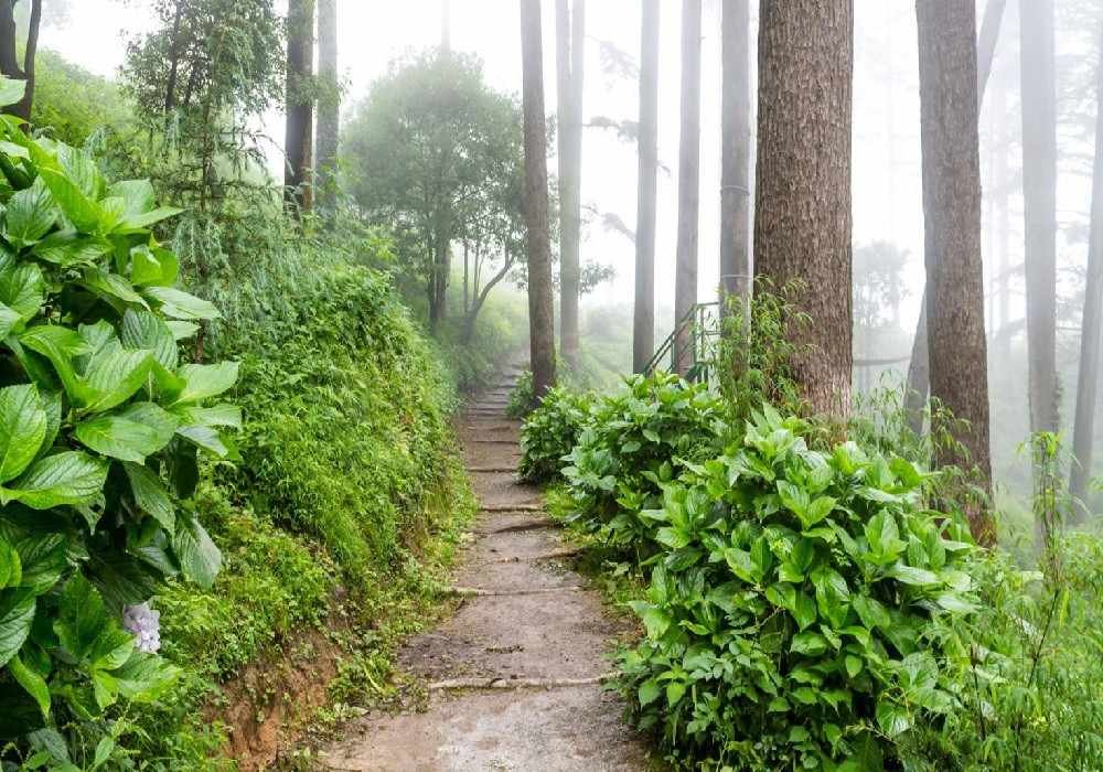 Dhanaulti Weekend Getaways from Delhi