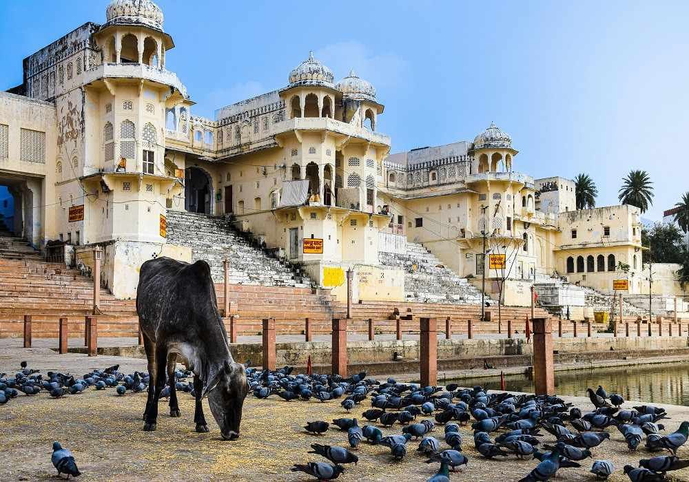 Pushkar Weekend Getaways from Delhi