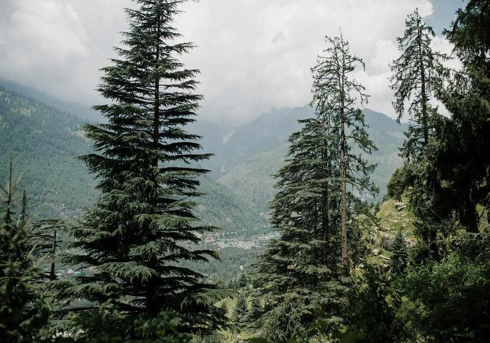 Manali Weekend Getaways from Delhi