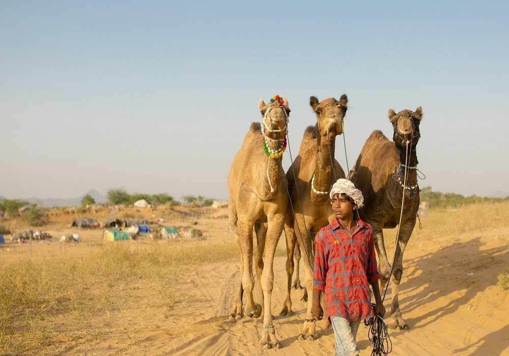 Pushkar Weekend Getaways from Delhi