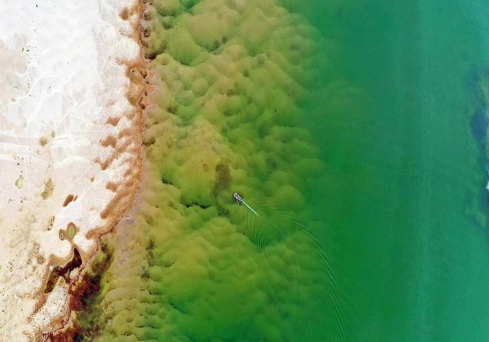 Bharatpur Group Tour