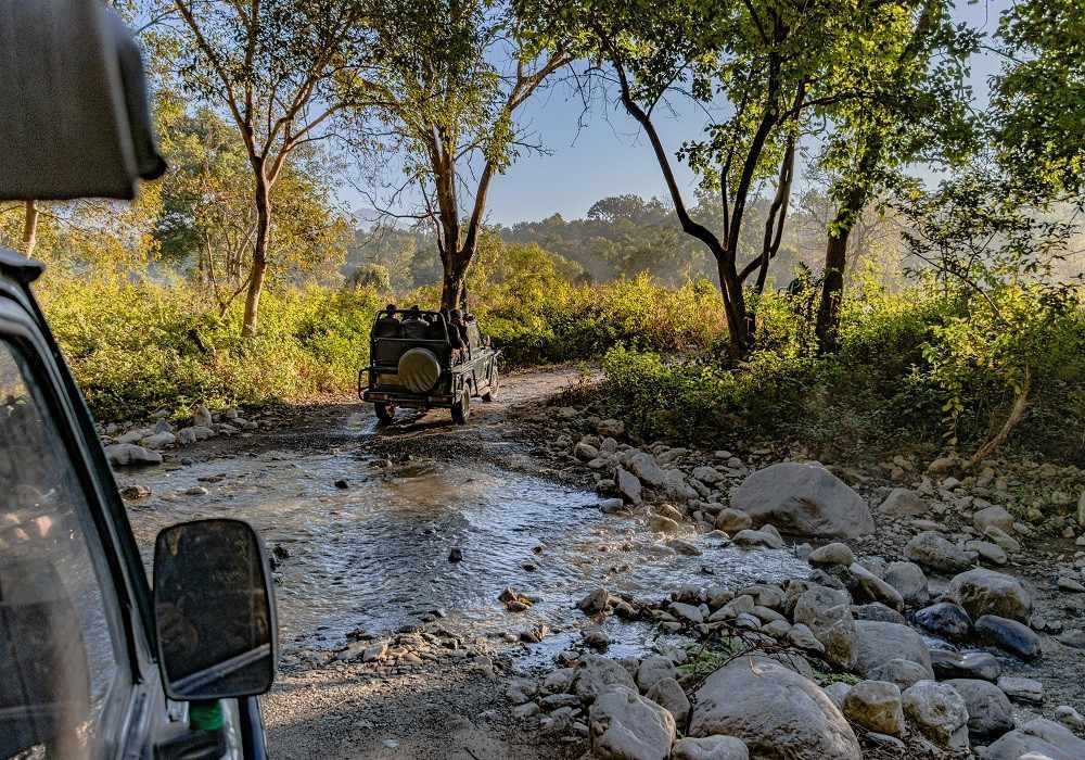 Dudhwa National Park Safari Package from Delhi