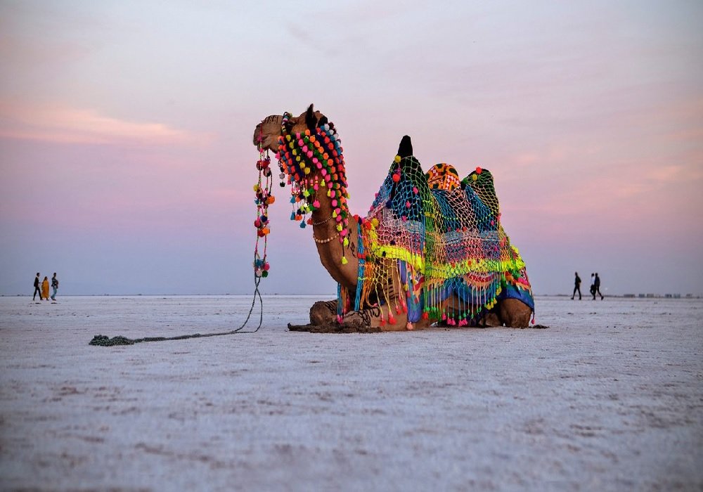 Rennes to Ahmedabad Dwarka Somnath Rann of Kutch Tour Package