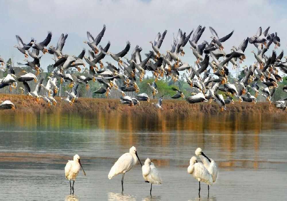 Ropar Group Tour