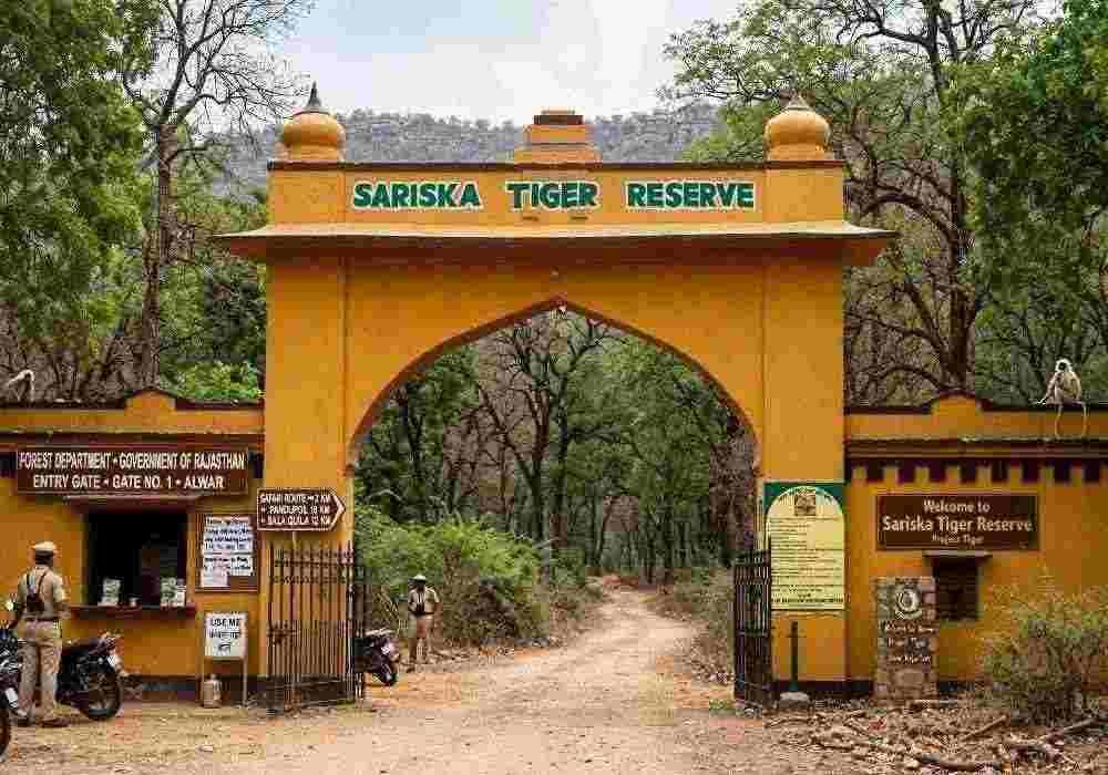 Sariska Group Tour
