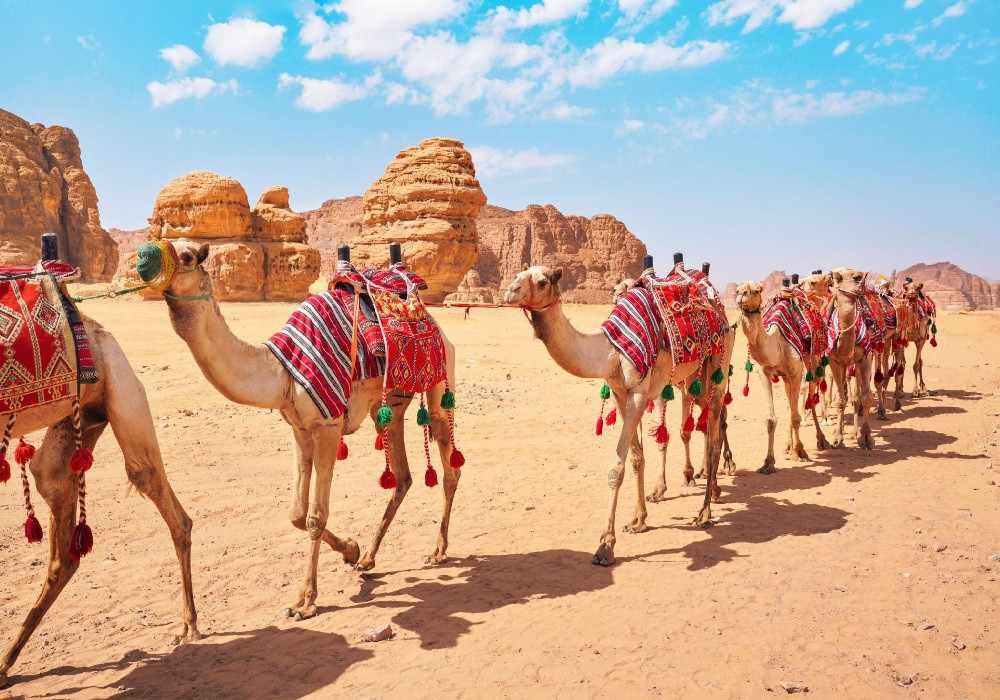Saudi Arabia Tour Package from Delhi