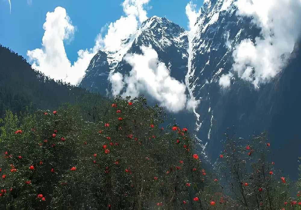 Sikkim Road Trip by Train from Delhi