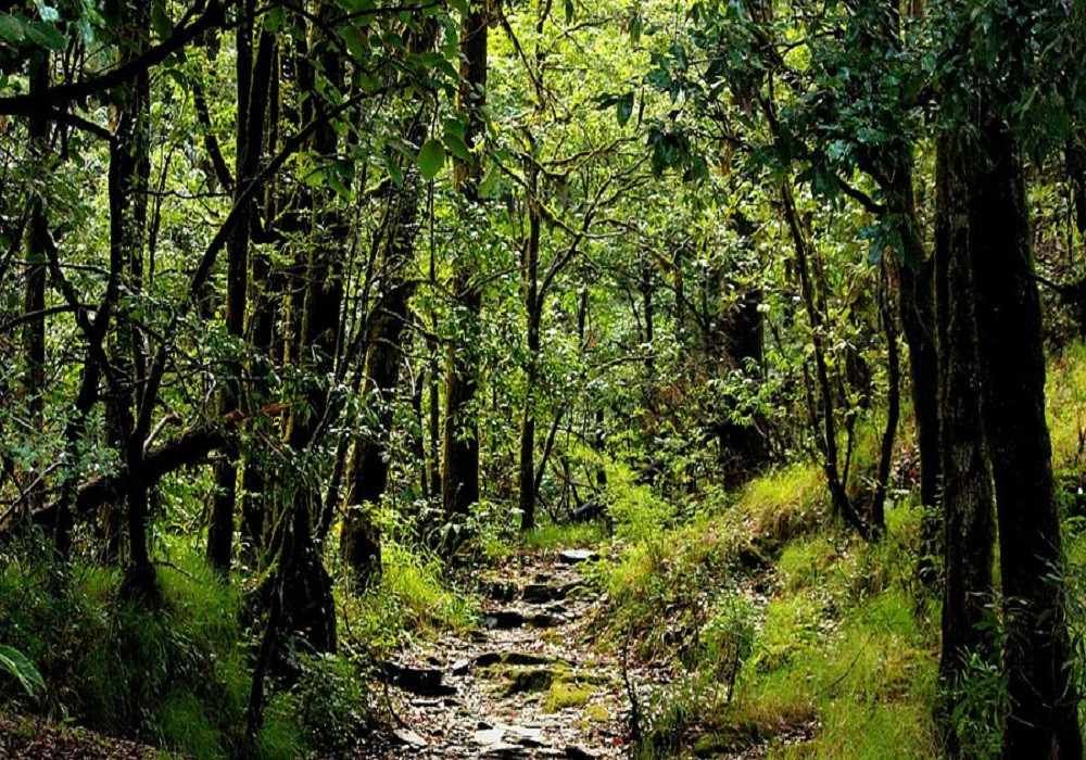 Binsar Weekend Getaways from Delhi