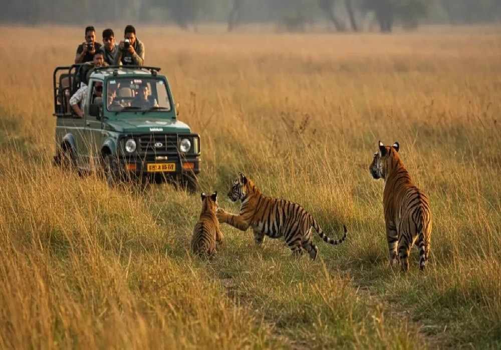 Dudhwa National Park Trip Package from Delhi