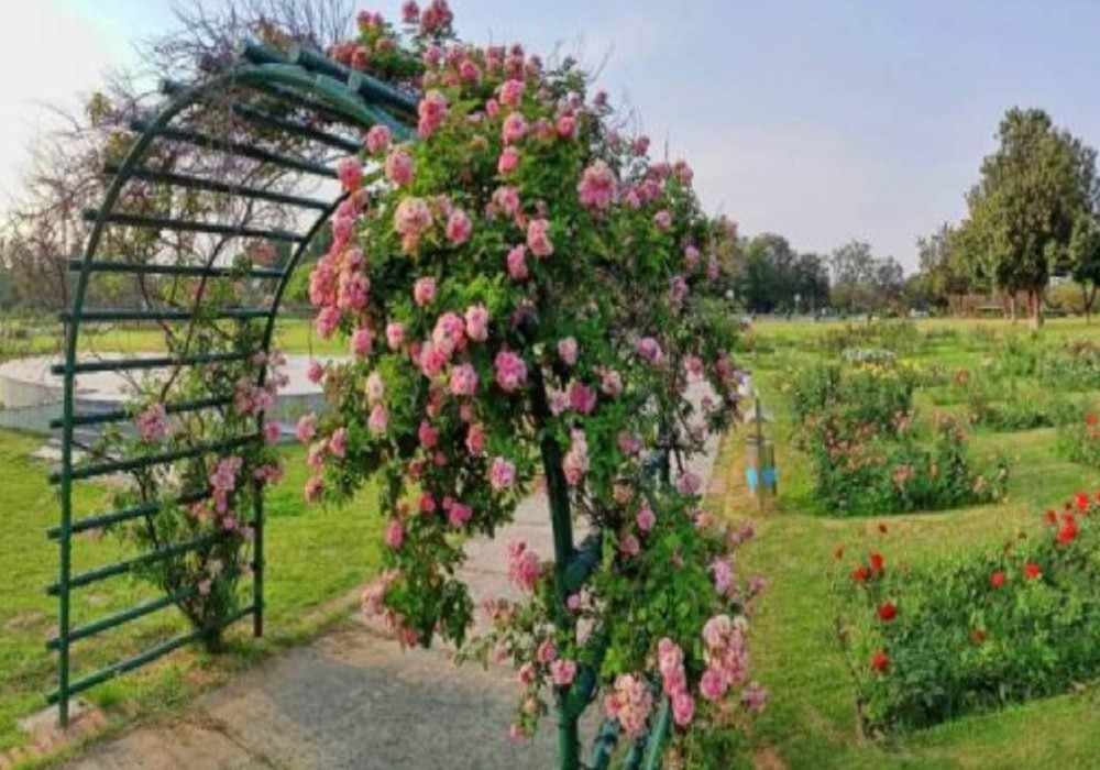 Chandigarh Weekend Getaways from Delhi