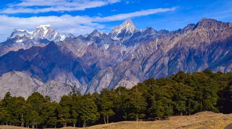 auli kausani tour