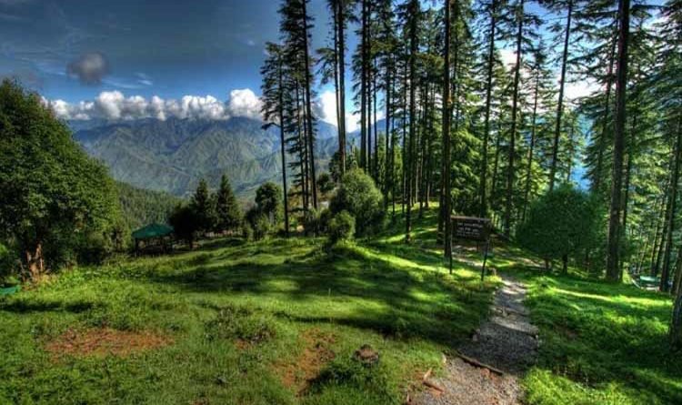 Dhanaulti Tour Packages